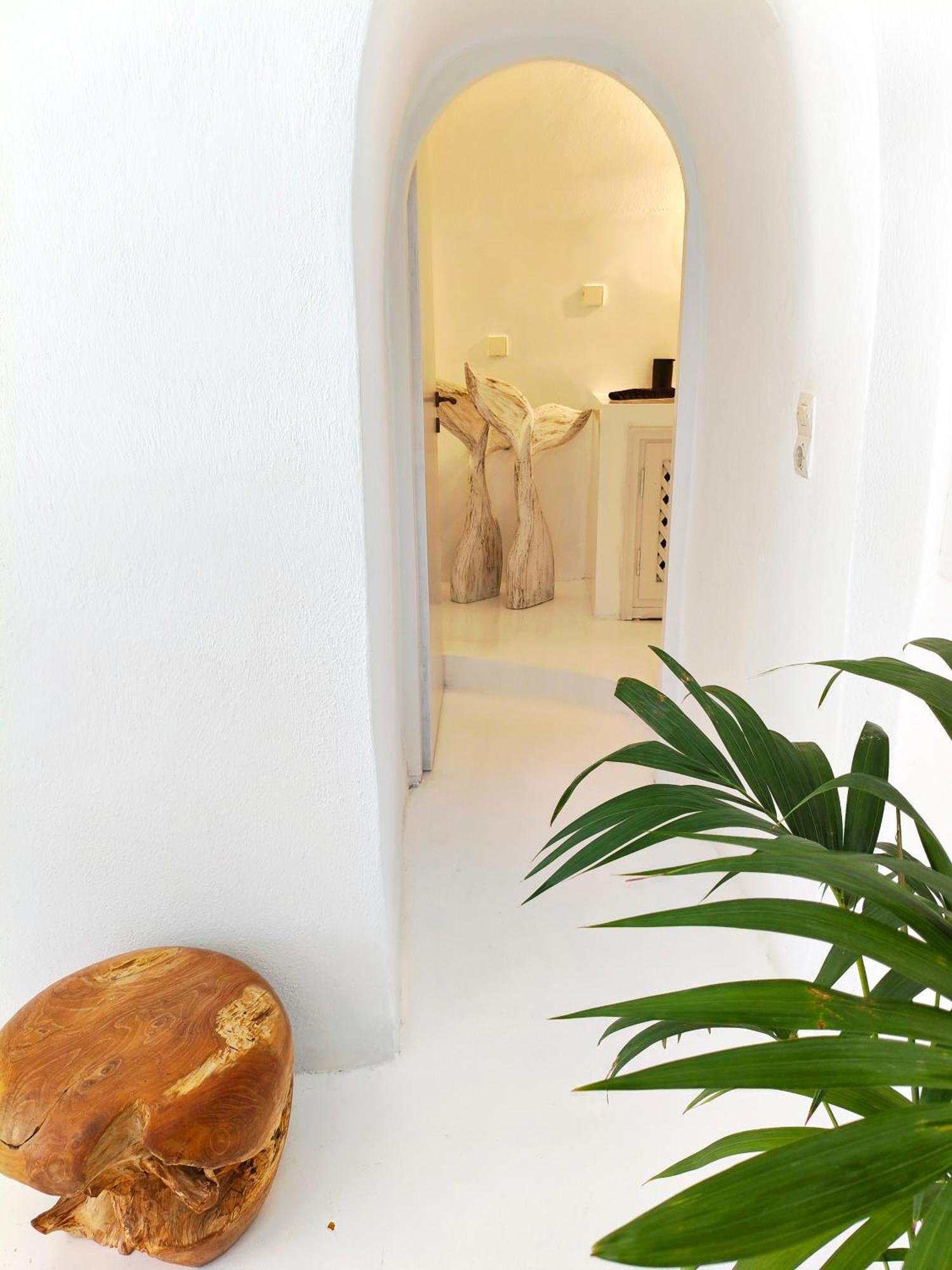 The Magic Luxury Cave Suites Vóthon Exterior foto